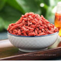 vente chaude goji baies plantes goji Berry